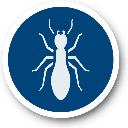 Termite Icon blue min