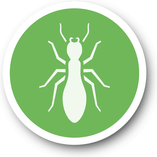 Termite Icon green min