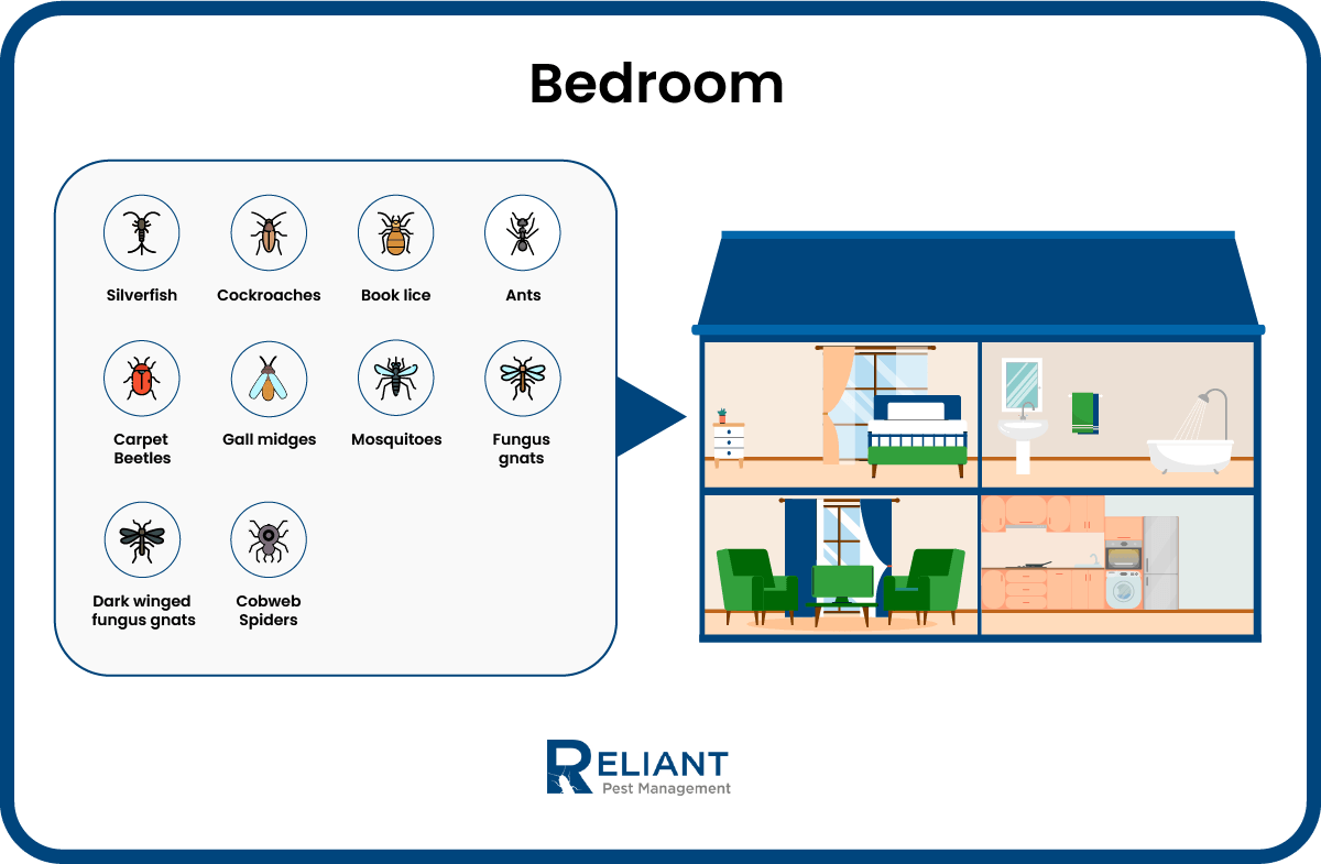 Bedroom - Inforaphic