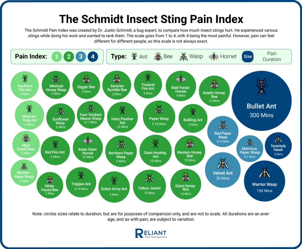 The Schmidt Insect Sting Pain Index