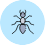 icon-ant